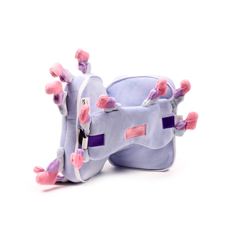 Minecraft Axolotl Travel Pillow Set Open Resting On Table